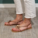 Nu pied camel