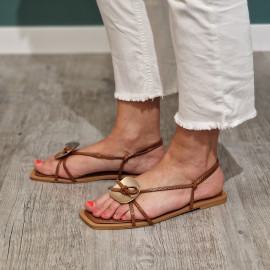 Nu pied camel