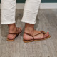 Nu pied camel