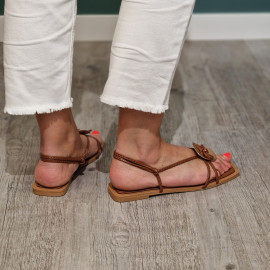 Nu pied camel