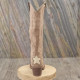 Botte nubuck taupe